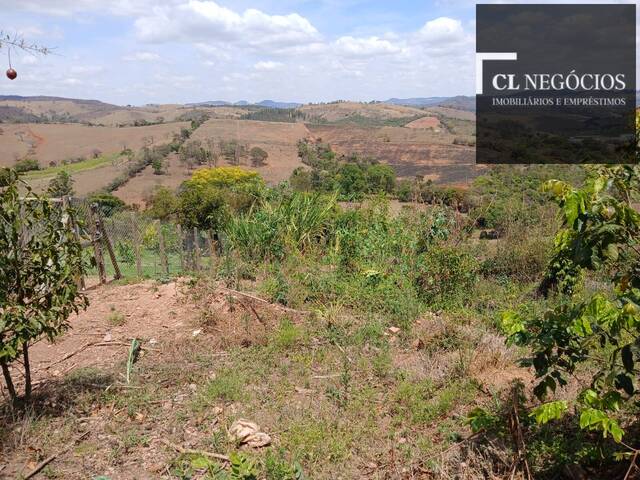 Vista de cima 