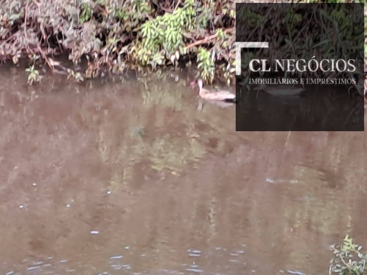 Sítio, 16 quartos - Foto 10