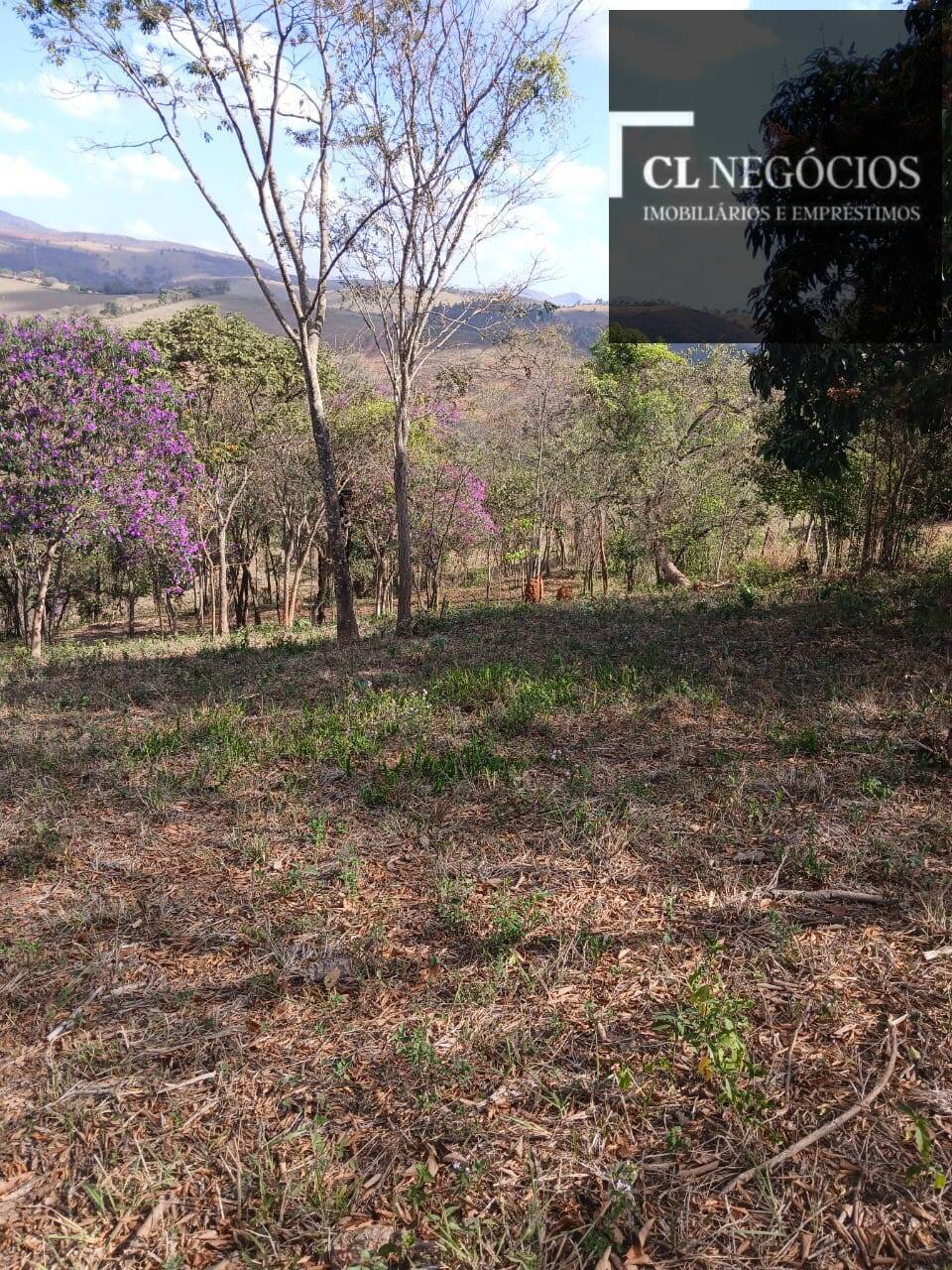 Terreno, 4000 m² - Foto 2