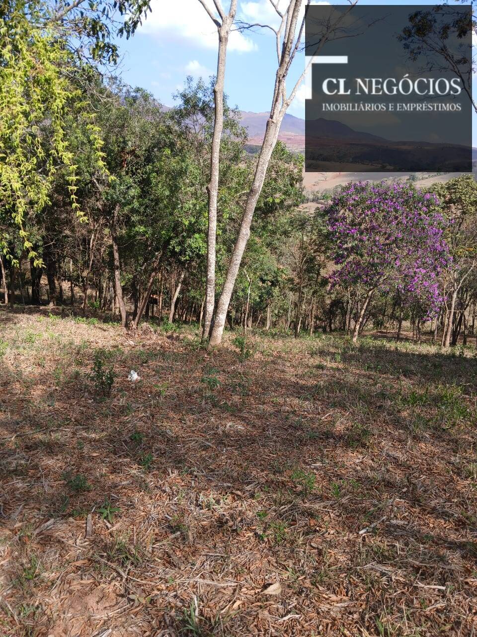 Terreno, 4000 m² - Foto 5