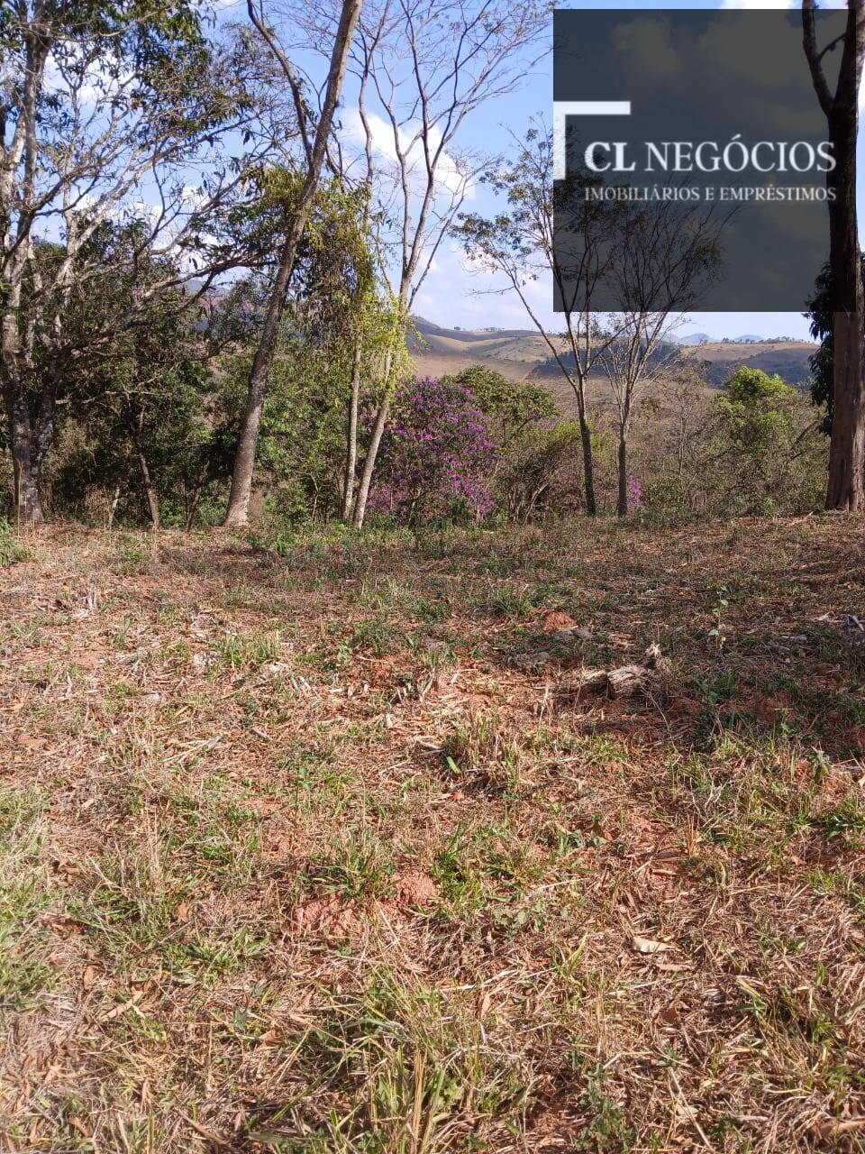 Terreno, 4000 m² - Foto 6