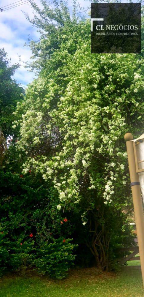 Casa, 7 quartos, 8059 m² - Foto 12