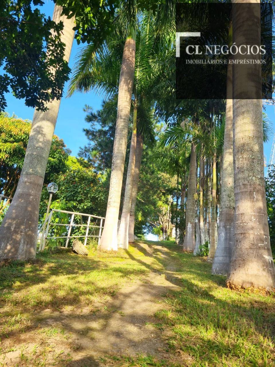 Casa, 7 quartos, 8059 m² - Foto 50