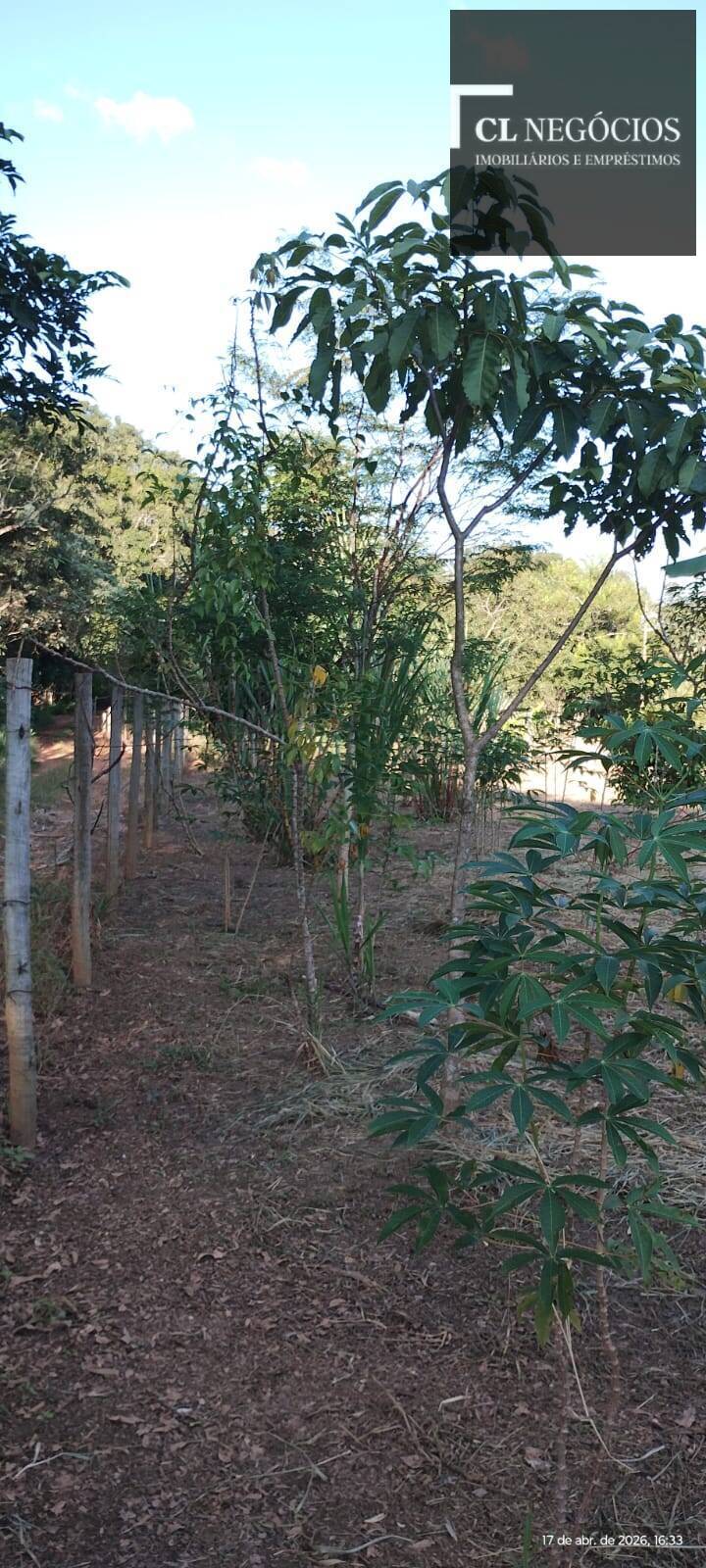 Casa de Condomínio - Foto 3