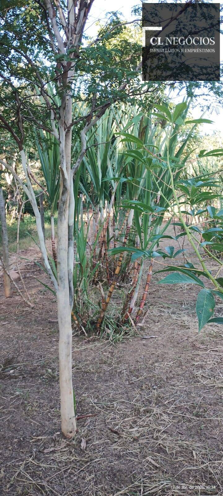 Casa de Condomínio - Foto 13