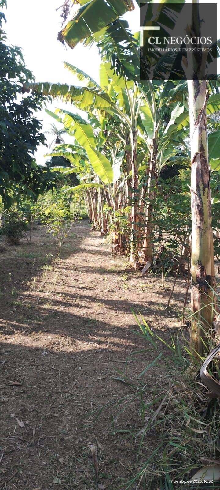 Casa de Condomínio - Foto 5