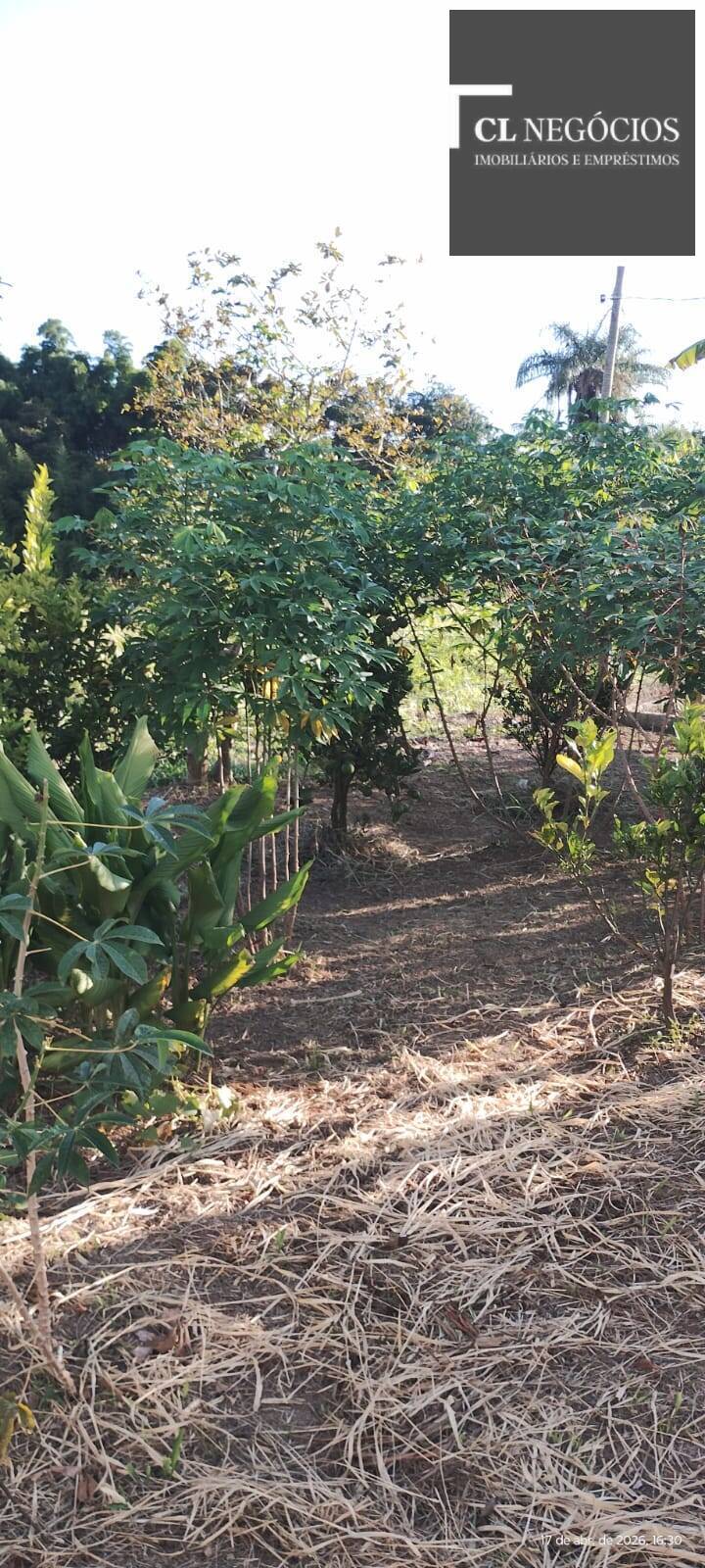 Casa de Condomínio - Foto 30