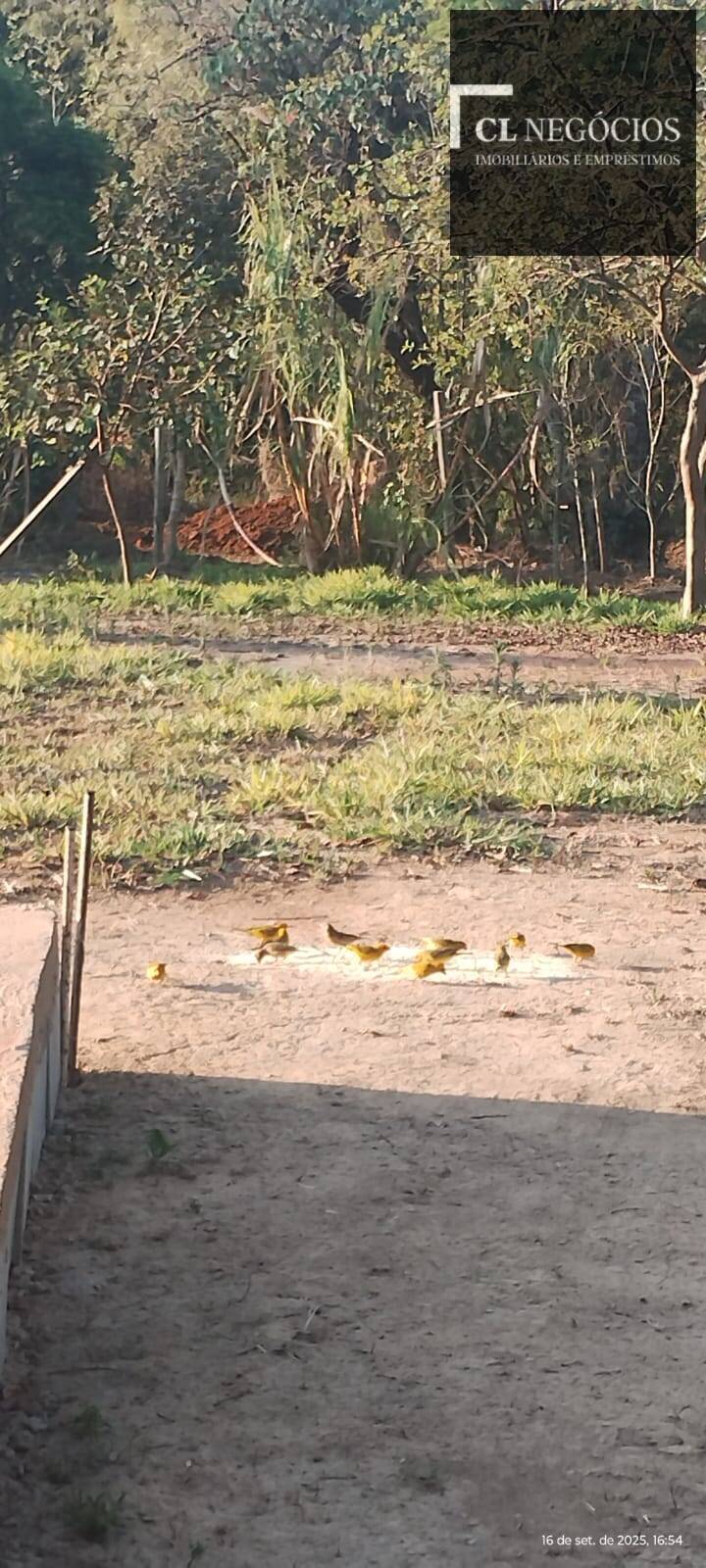 Casa de Condomínio - Foto 11